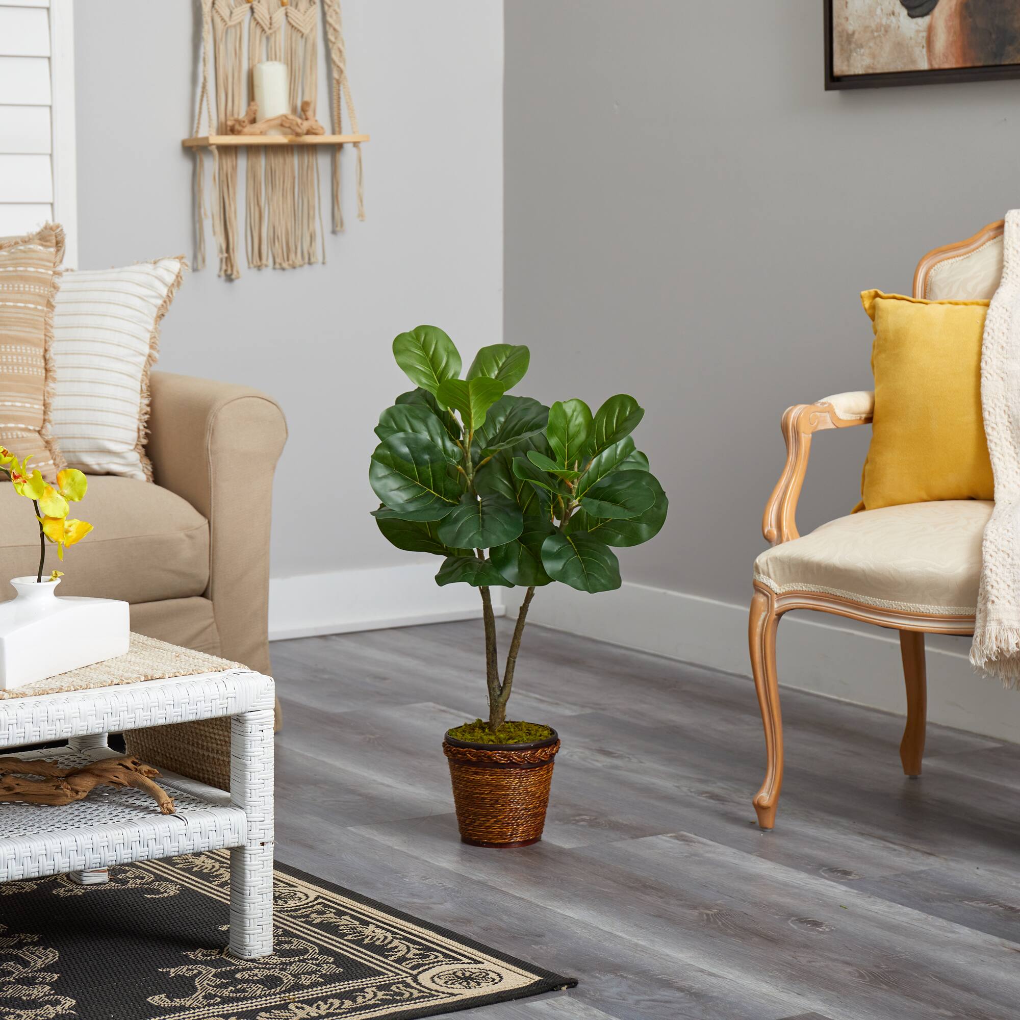 2.7ft. Fiddle Leaf Fig Tree in Basket